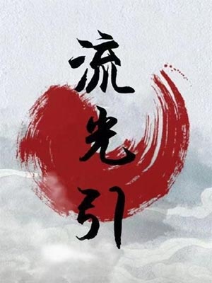 毒宠佣兵王妃(流光引)